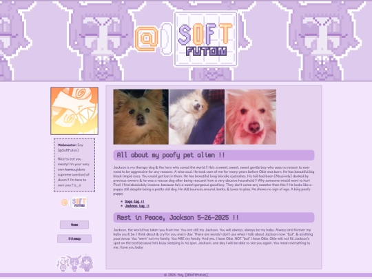 jackson screenshot