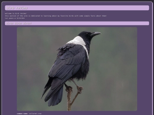 birbReview screenshot