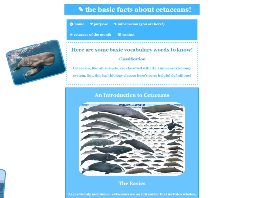 information screenshot