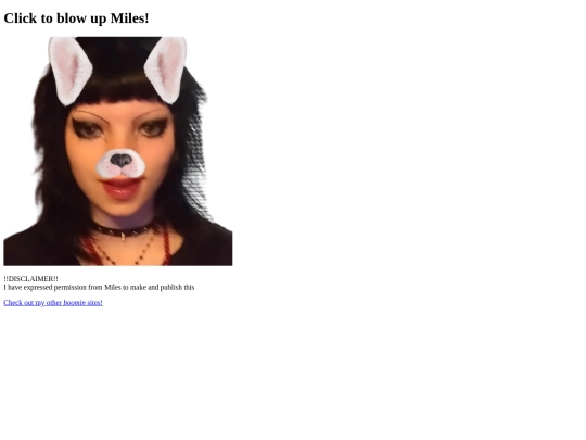 BUMS/BlowUpMilesSimulator screenshot