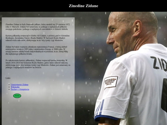 Zidane screenshot