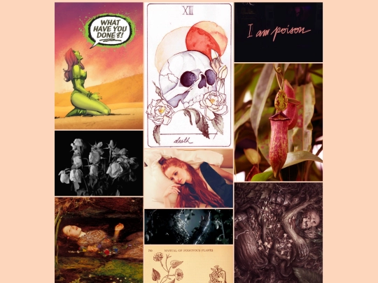 misc/moodboard2 screenshot