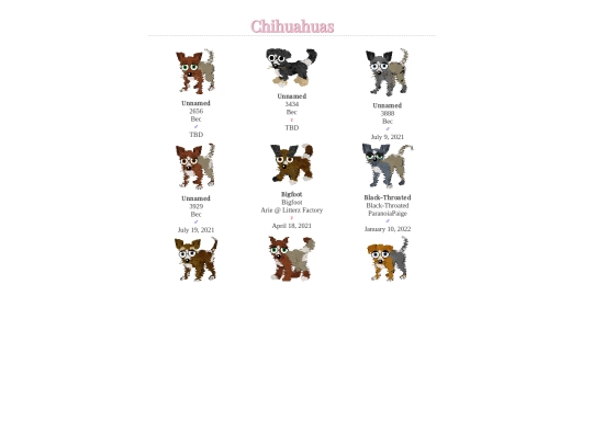 crew/breddogz/chihuahuas screenshot