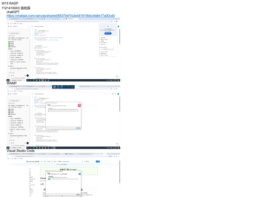 W15 RASP screenshot