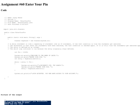 intro/WhileLoops/60/EnterYourPin screenshot