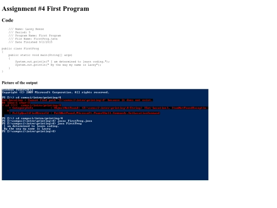 intro/printing/4/prog4 screenshot