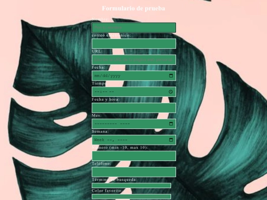 Formulario screenshot
