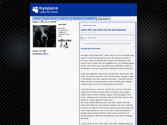 blog screenshot