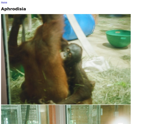 aphrodisia screenshot