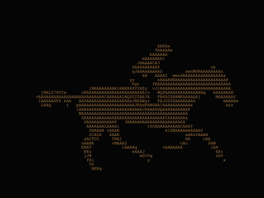 wildhorses screenshot