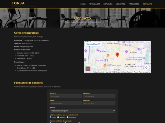 pages/contacto screenshot