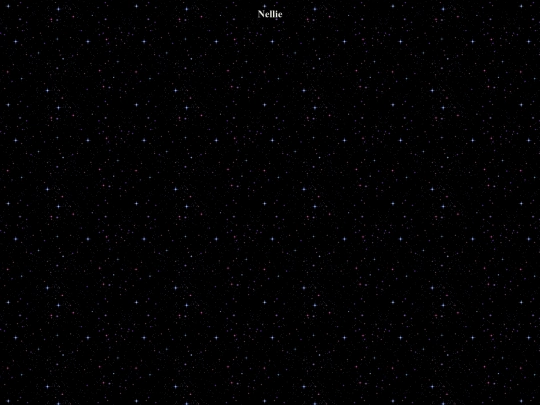 nellie screenshot