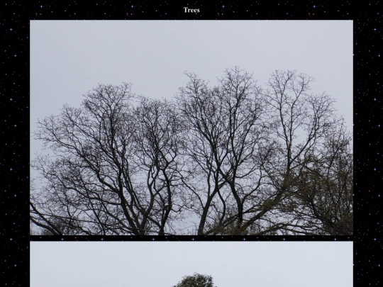 trees screenshot