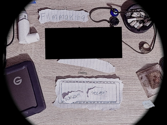 player screenshot