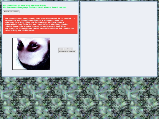 NAOMI/brainscanner screenshot