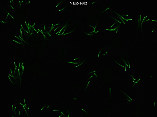 test screenshot