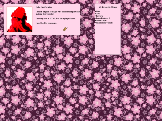 newaboutme screenshot