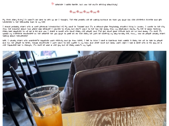 diary/diaryentrynew1 screenshot