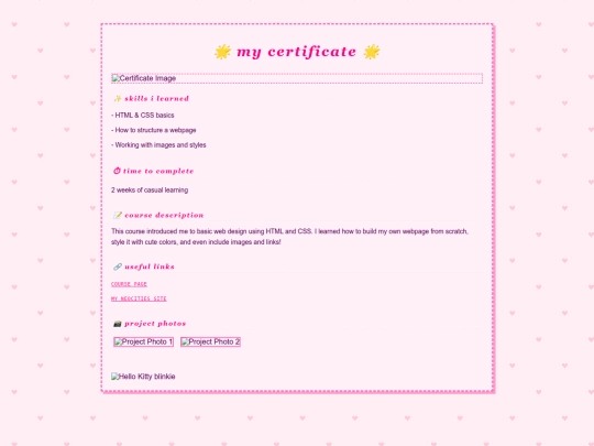 Certificate 3 screenshot