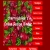 cherryjubilee: My Online Recipe Binder avatar