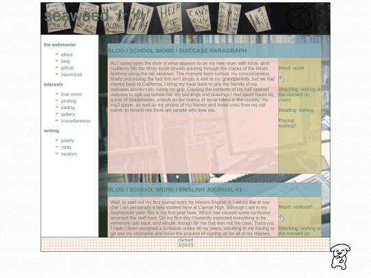 blog screenshot