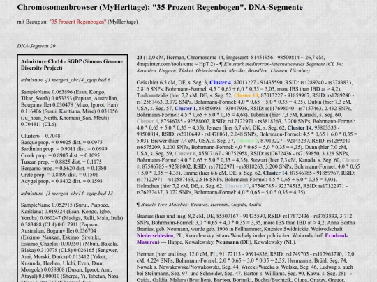 dna4b20 screenshot