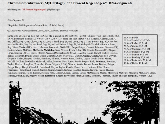 dna4c28b2 screenshot