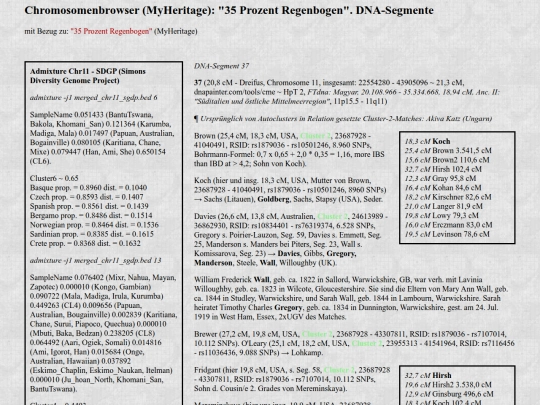 dna4c37 screenshot
