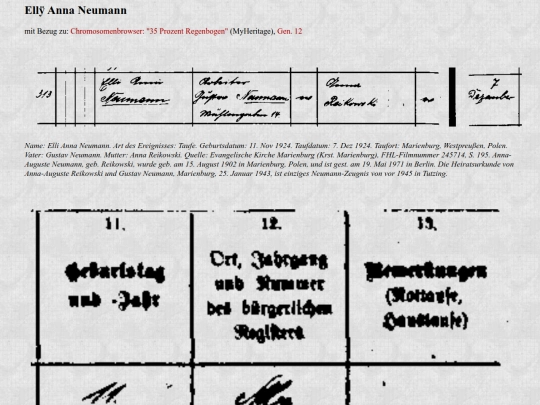 neumann screenshot