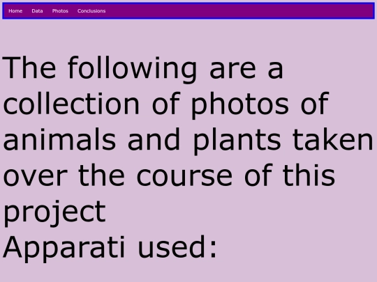 photos screenshot