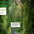 tree-elves.neocities.org avatar