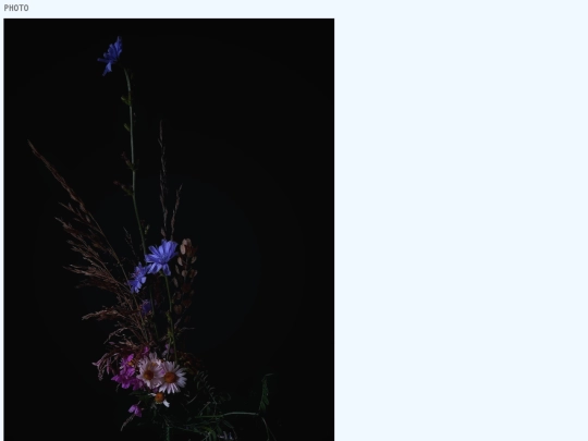 photo screenshot