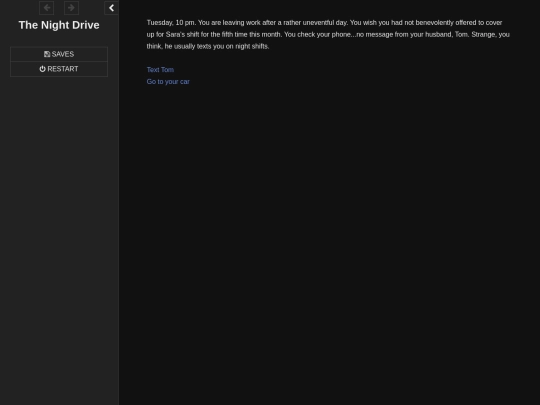 The Night Drive  (2) screenshot