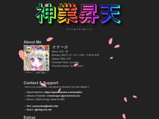 HTML/misc screenshot