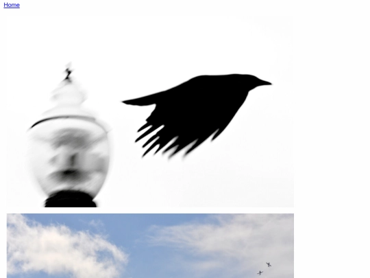 portfolio/art screenshot