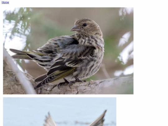 portfolio/nature screenshot