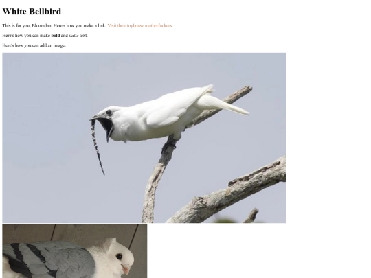 pornhub screenshot