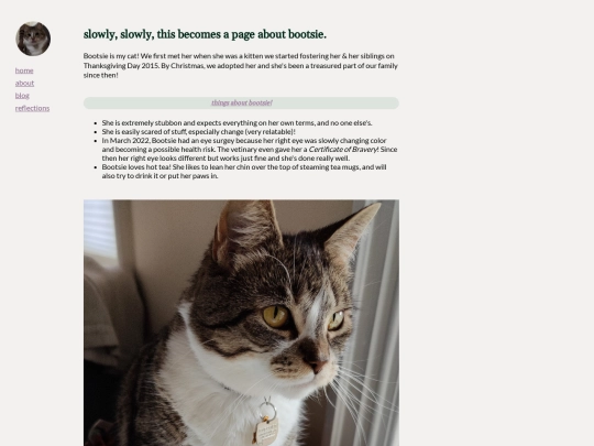 bootsie screenshot