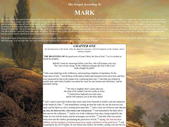 Mark screenshot