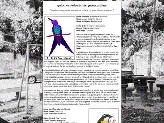 projects/birds screenshot