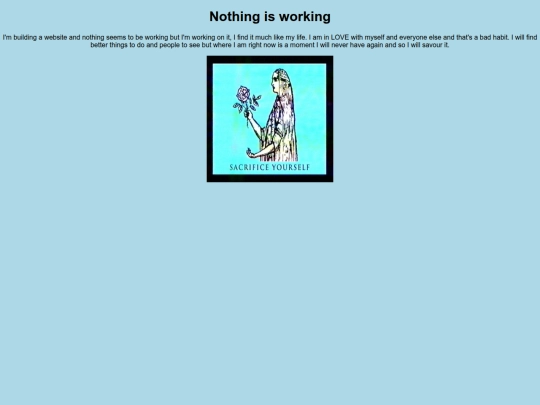 Nothingisworking screenshot