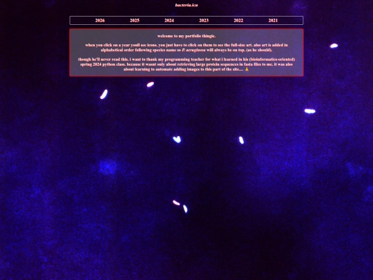 gallery screenshot
