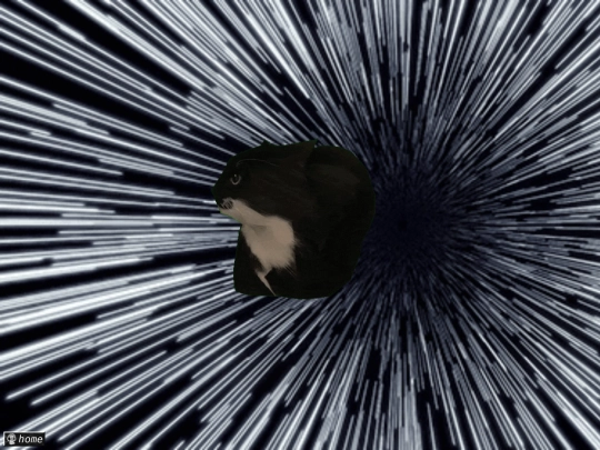freebird screenshot