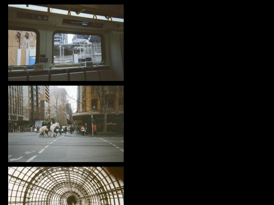 indeximg/photos/085-2023/img screenshot