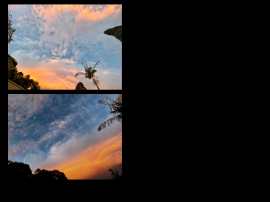 indeximg/photos/12-2020/img screenshot