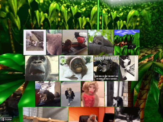 monkey screenshot