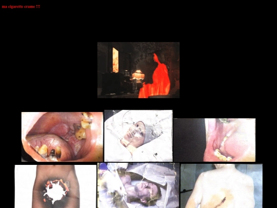 interests/projetaupif screenshot