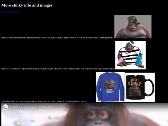 more screenshot
