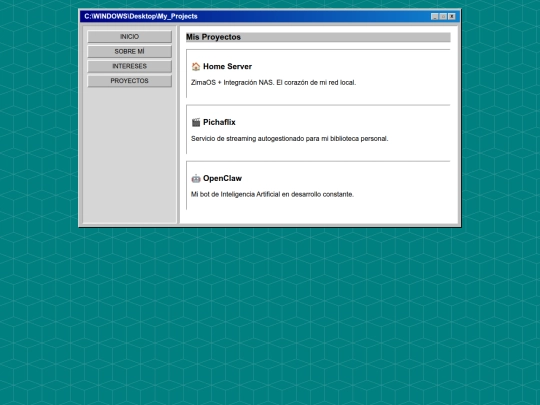projects screenshot