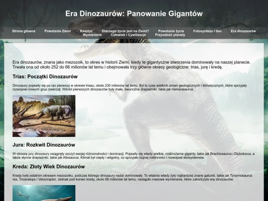 podstrona6 screenshot